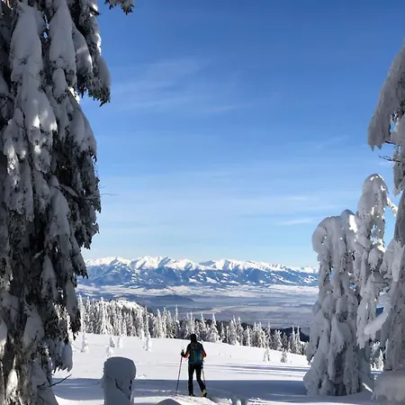 Daire Renata - Renata 12