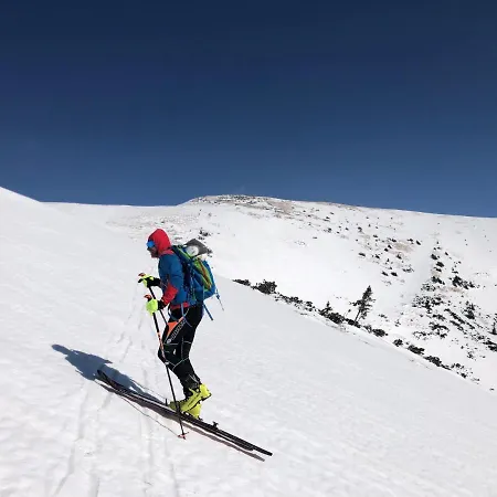 Renata - Renata 12 Daire